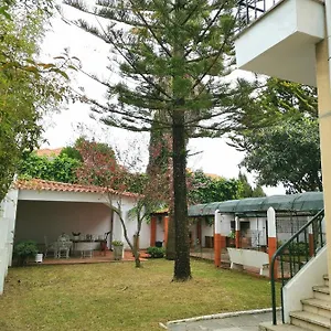 botanique-guesthouse.hotels-lisbon-portugal.com/