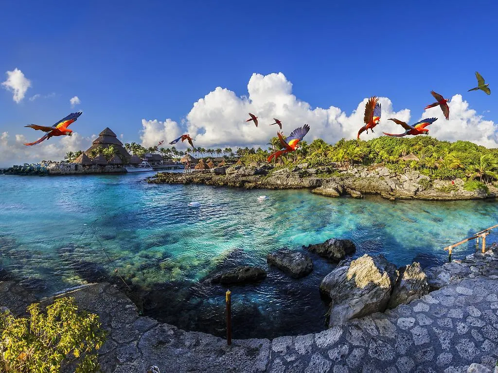 Hotel Occidental At Xcaret Destination Playa del Carmen Resort