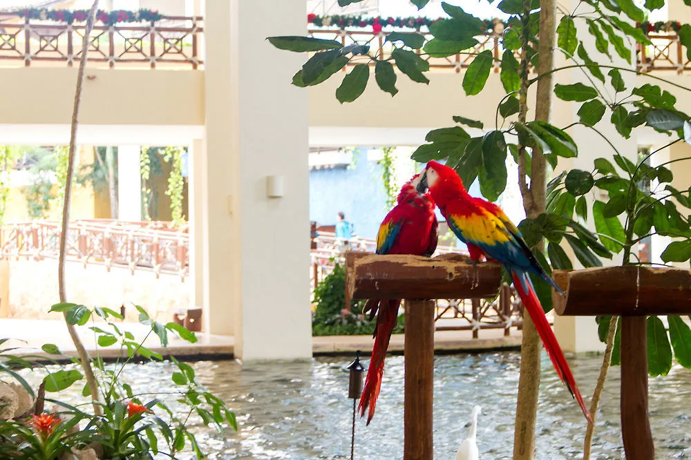 Hotel Occidental At Xcaret Destination Playa del Carmen